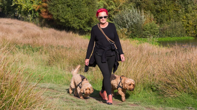 A visitor walking two dogs in the park at Petworth, West Sussex